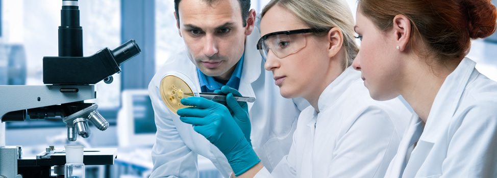 profinas cali colombia